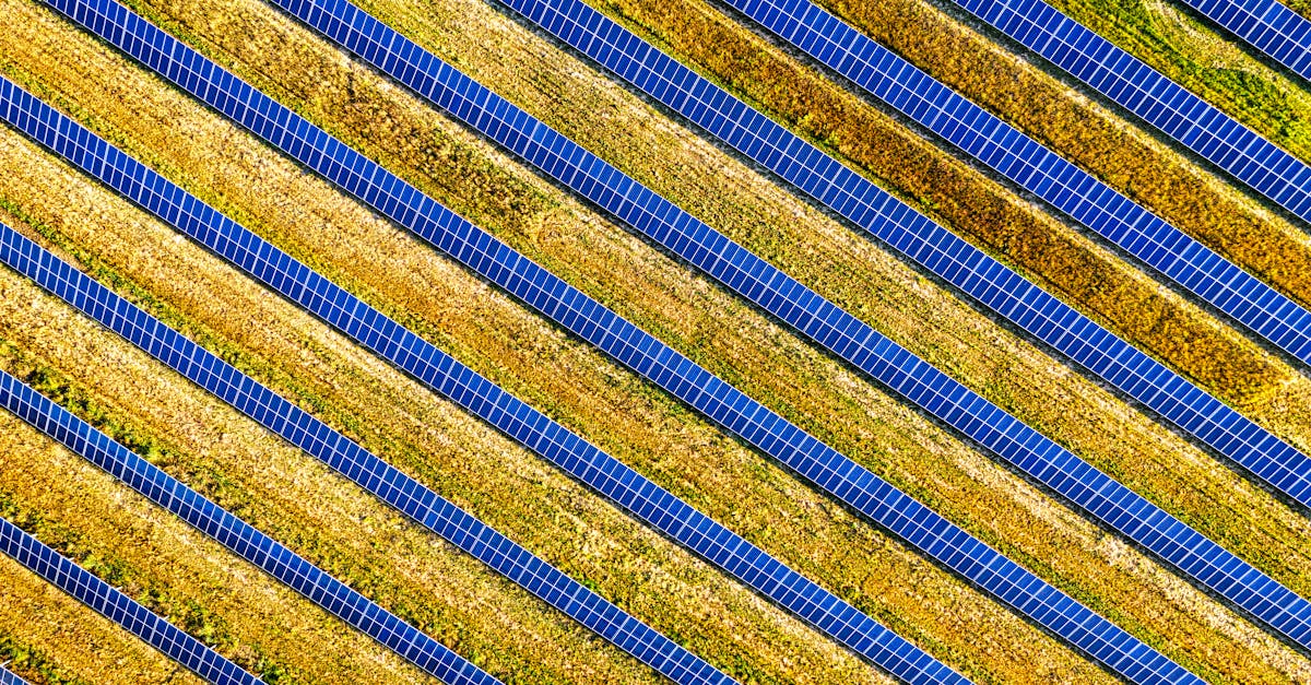 Solihull, West Midlands